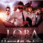Carnal Ft. J Alvarez, Farruko Y Gotay - Loba MP3